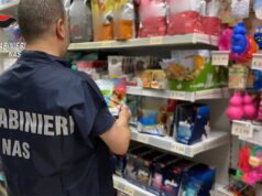 Controlli dei NAS in un bazar etnico, trovati alimenti per animali da compagnia scaduti