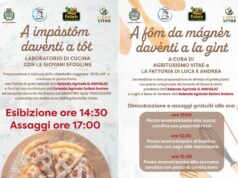 Domenica a Fabbrico la Festa di San Martino in Piazza