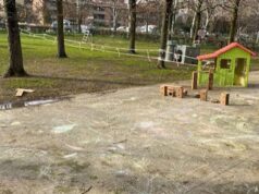 Albero caduto nel giardino delle Gastone Rossi, l’Amministrazione comunale: “doveva essere abbattuto”