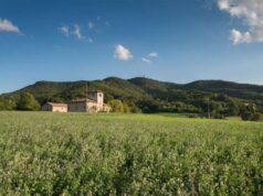 Vezzano sul Crostolo aderisce alla Giornata del Camminare