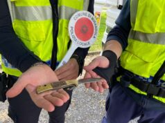 Sicurezza urbana: nel 2024 a Mirandola quasi 1.000 controlli nei parchi pubblici