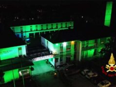 Il Comando dei Vigili del Fuoco di Reggio Emilia si colora di verde per la Giornata mondiale Pans Pandas