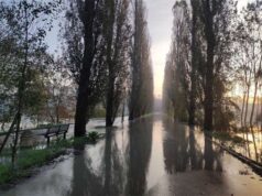 Aggiornamento in merito alla situazione a Guastalla