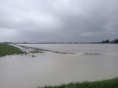 Maltempo, Commercialisti: “Sospendere adempimenti a Bologna e Reggio Emilia”