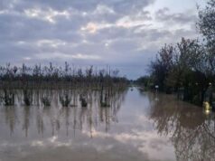 Maltempo, Coldiretti ER: colpito il cuore della regione