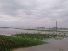 Agricoltura, ondata di maltempo dell’ottobre 2024: la giunta approva la declaratoria necessaria per la presentazione delle domande di indennizzo delle imprese agricole colpite