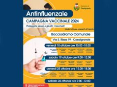 Punto vaccinazione antinfluenzale facoltativo a Casalgrande