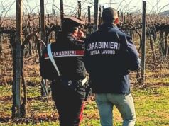 Controlli dei carabinieri del NIL di Bologna in pubblici esercizi e aziende agricole per contrastare lavoro irregolare e sfruttamento