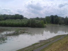 Sicurezza idraulica a Modena: tavolo tecnico permanente con Aipo