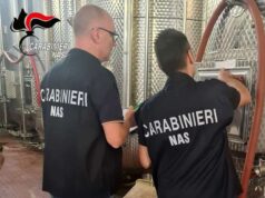 I carabinieri del NAS accertano irregolarità igienico-sanitarie in una azienda vitivinicola della Val Parma