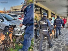 Maranello, controlli della Polizia locale con l’unità cinofila