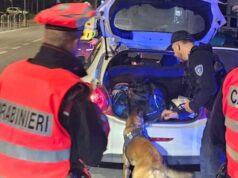 Quattro denunce ed una segnalazione durante i servizi di controllo dei carabinieri modenesi