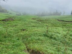 Coldiretti Modena: il bilancio dei danni in campagna