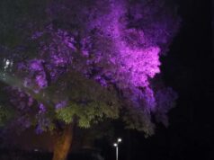 Albinea aderisce alla campagna di prevenzione di tumore al seno