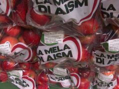 Il 5 e 6 ottobre torna La Mela di Aism nelle piazze di Modena e provincia