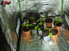 Due giovani arrestati a Reggio Emilia per concorso in detenzione ai fini di spaccio