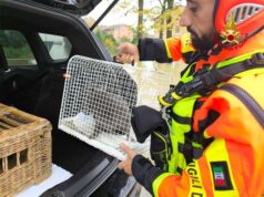 Prosegue il salvataggio di animali da parte dei Vigili del fuoco nei paesi reggiani alluvionati