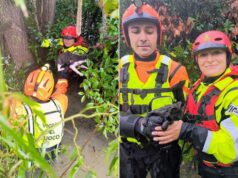 240 gli interventi effettuati dai Vigili del Fuoco del Comando di Reggio Emilia da inizio emergenza