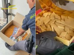 340 kg di generi alimentari in cattivo stato di conservazione sequestrati dalla Finanza nel bolognese