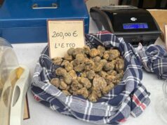 Domani, sabato 26 ottobre, inizia la Tartufesta di Sasso Marconi