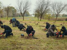 A Casalgrande il programma “Think Forestry” di Intesa Sanpaolo con Rete Clima per la biodiversità