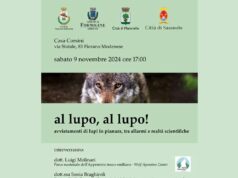 “Al lupo, al lupo”: sabato 9 novembre a Fiorano un incontro pubblico con esperti