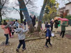 Tante iniziative nelle scuole guastallesi in occasione della Festa dell’Albero 2024