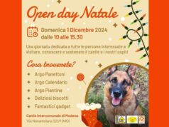 Open day domenica al Canile intercomunale di Modena