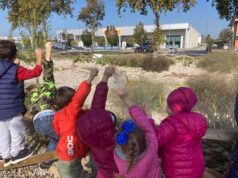 Viale Gramsci a Mirandola, riqualificata l’area dell’ex galleria commerciale post sisma