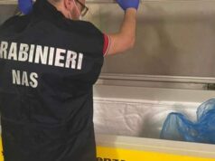 Sanzionata dai NAS un’azienda vitivinicola della Bassa reggiana