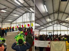 Che festa gli alberi! Due momenti dedicati all’ambiente per le scuole di Novellara