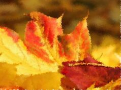 Decoro urbano: un cittadino sassolese ci scrive