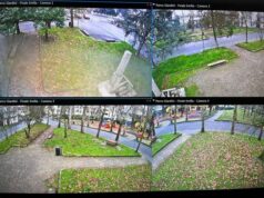 Giardini pubblici Finale Emilia: le telecamere ci sono e hanno ripreso l’atto vandalico