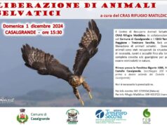 Casalgrande: domenica, presso la Panchina Gigante #203, verranno liberati alcuni volatili selvatici