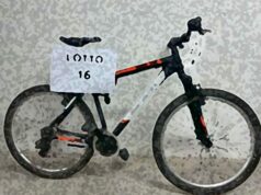 630 euro dall’asta pubblica al centro antiviolenza “Tina”