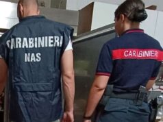 Irregolarità in negozi e ambulatori per animali da compagnia. Sequestri e sanzioni da parte dei NAS