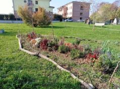 Martedì a Formigine un incontro per illustrare il progetto di cura del verde pubblico
