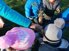 Domenica 1 dicembre Giornata dell’albero a Cavriago