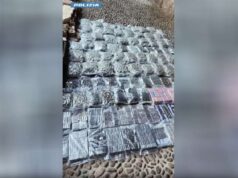 In cortile circa 150 kg di droga: arrestato a San Pietro in Casale dalla Polizia di Stato di Bologna