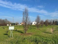 Il Comune di Concordia cerca sponsor per le aree verdi