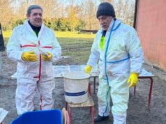 Volontari di protezione civile di Green ODV Reggio Emilia a Castenaso per recuperare reperti storici dopo l’alluvione