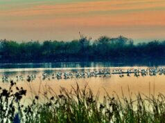 L’Oasi Val di Sole al forum plenario della CETS per il rinnovo del piano delle azioni 2025-2029