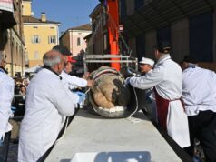Castelnuovo, un Superzampone da 7 quintali per celebrare l’arte salumiera