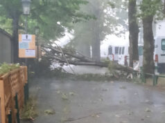 Continua a piovere in pianura e a nevicare in montagna: numerosi interventi dei Vigili del Fuoco