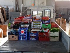 Traversetolo, ambulante abusivo al mercato: sequestrati oltre 500 chili di frutta
