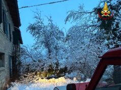 Alberi caduti sotto il peso della neve e canali che riversano acqua in strada