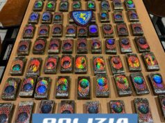 La Polizia di Stato di Bologna arresta sulla A14 un corriere della droga