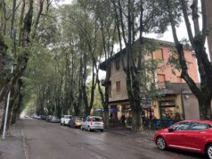 Vignola, Viale Vittorio Veneto come lo vorrei: gli esiti del percorso partecipato