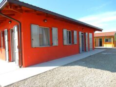 Domenica 19 gennaio al Gattile intercomunale di Modena c’è l’open day