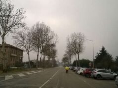 Ciclovia del Sole, a Mirandola ripiantumazione piante